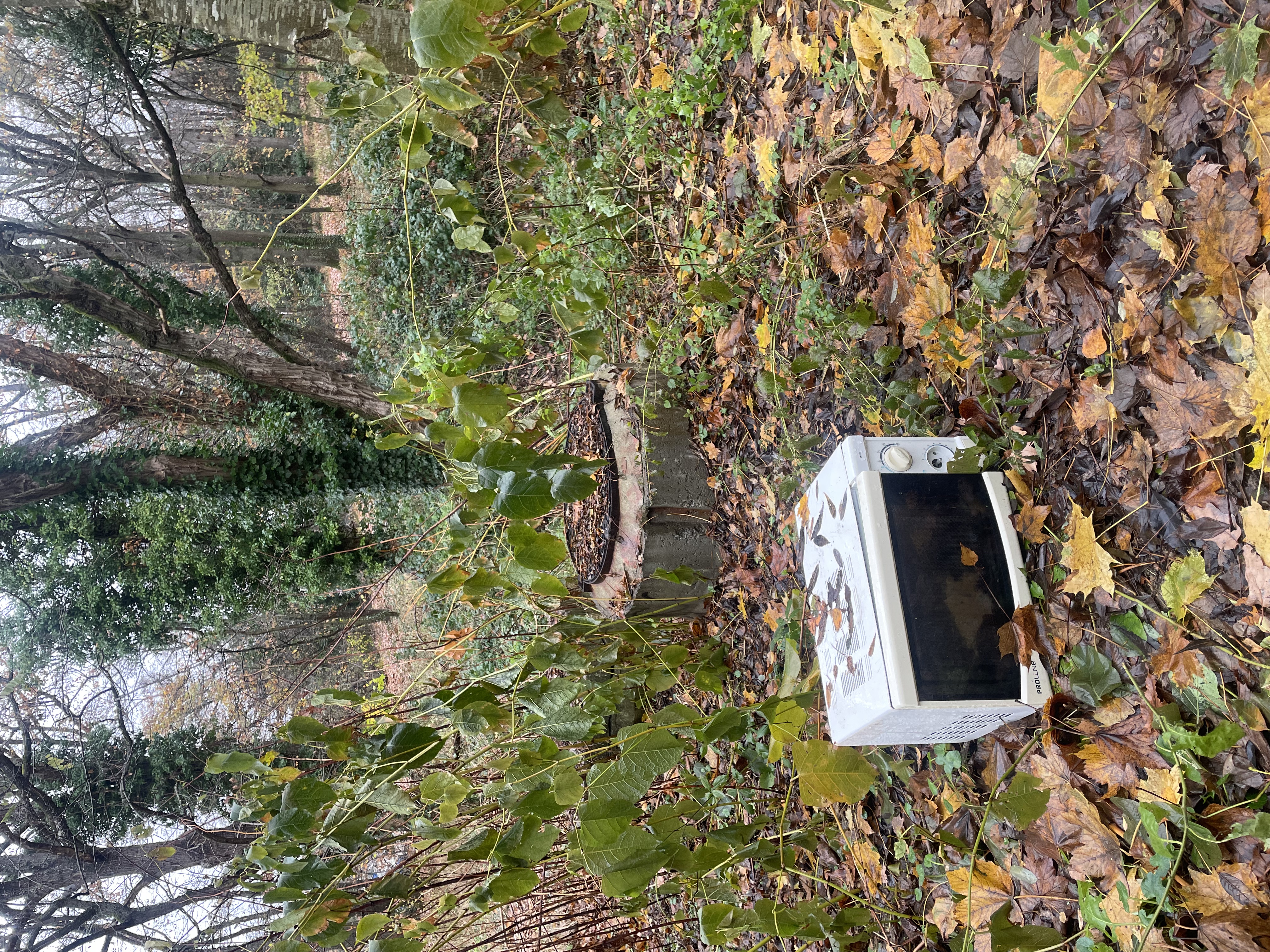 microwave woods