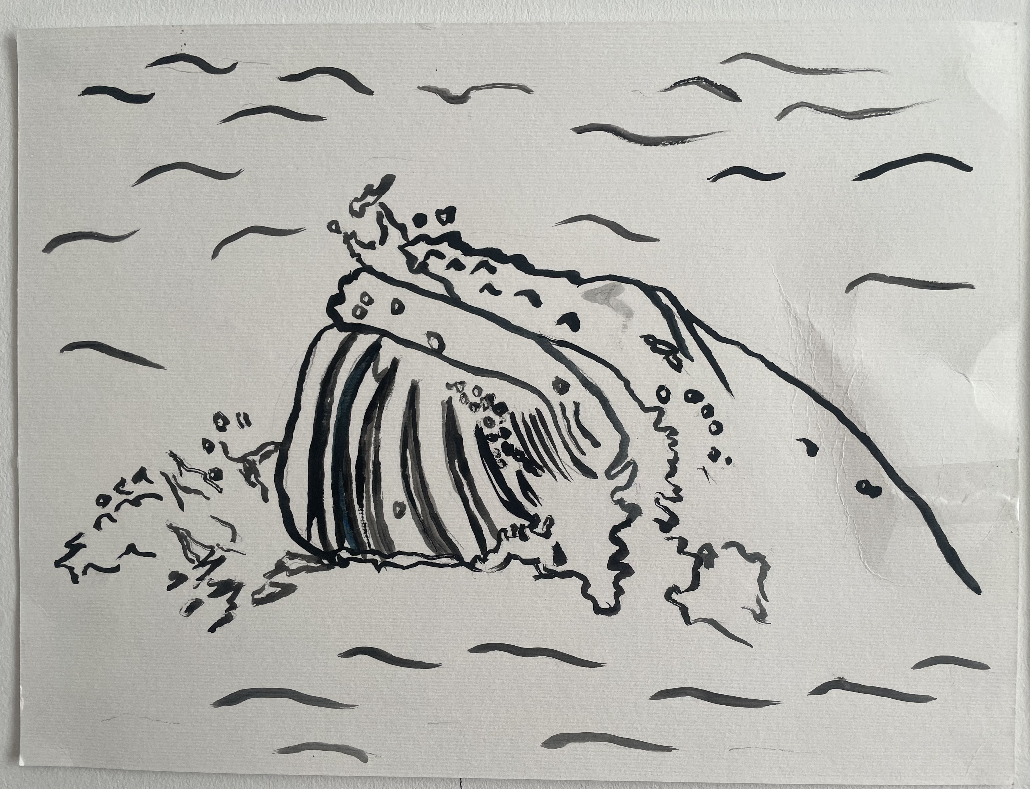 ink whale
