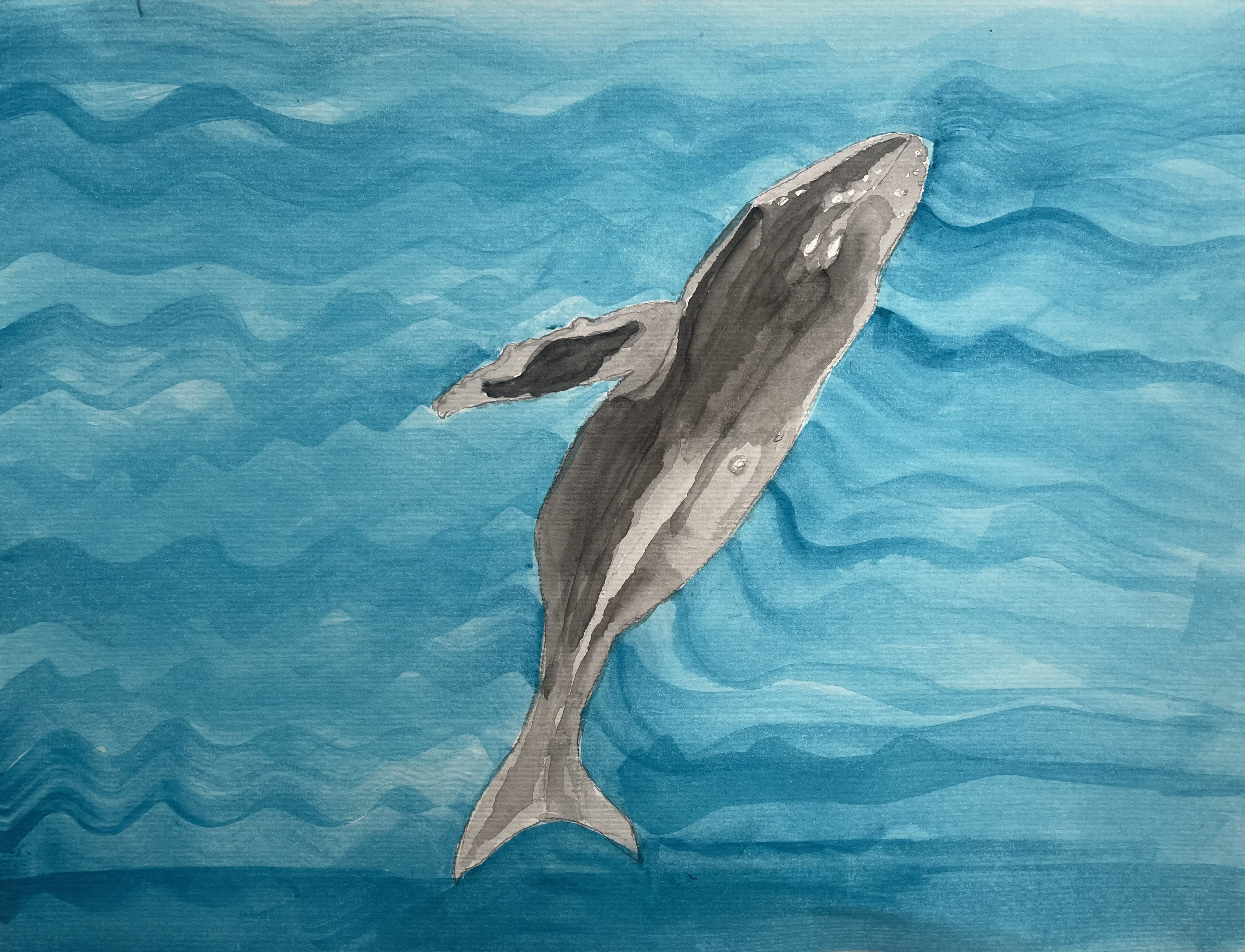 whale float